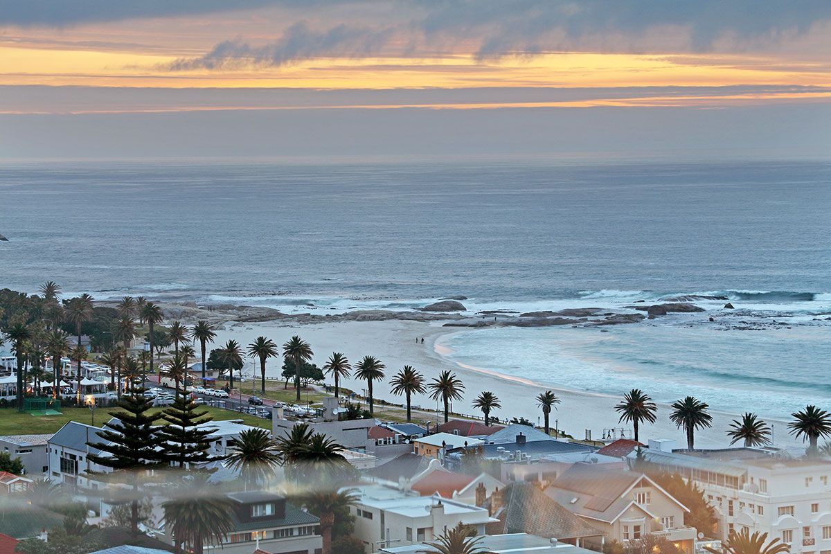 Holly Blue, Cape Town - Image 12