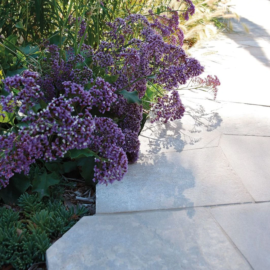 Violane- Bantry Bay, Cape Town - Image 21