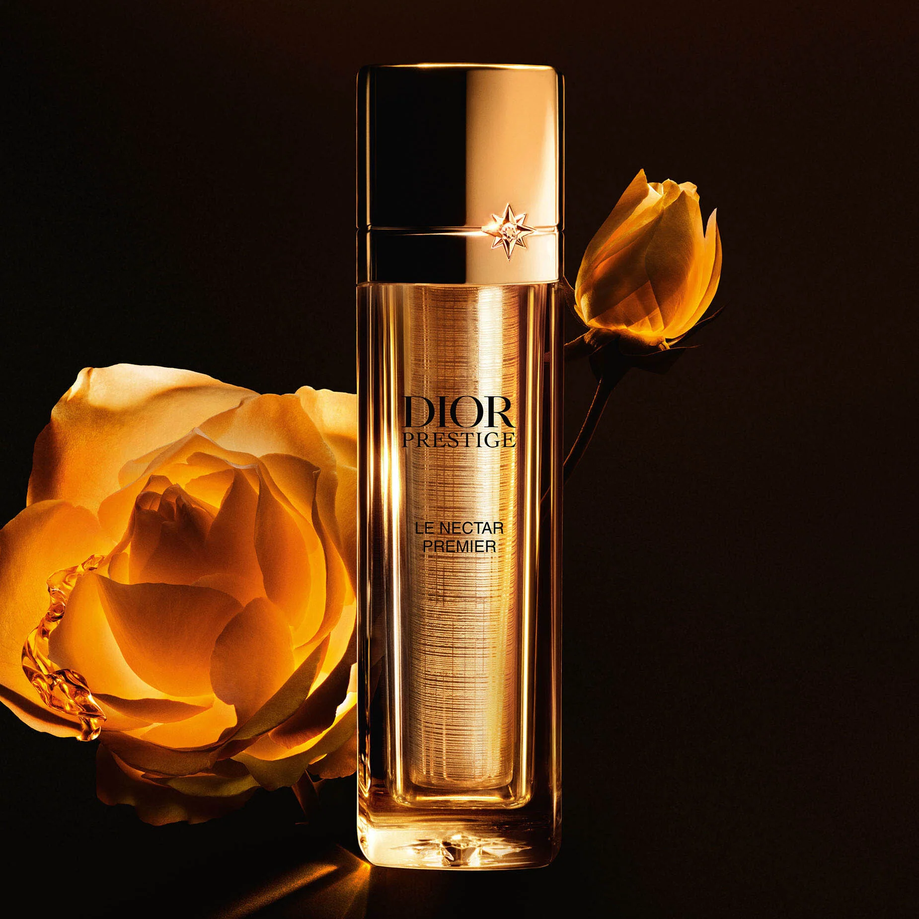 Dior Prestige Le Nectar Premier Case - Image 3